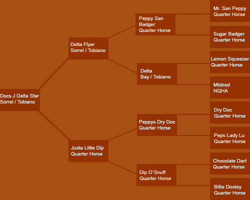 Pedigree von Docs J Delta Star