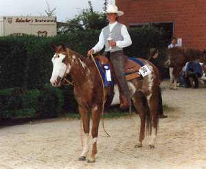 Docs J Beautybrand - APHA Champion / Elitestute