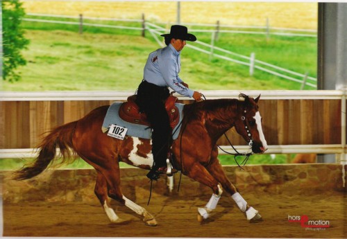 Docs J Delta Go On - 2x APHA Champion