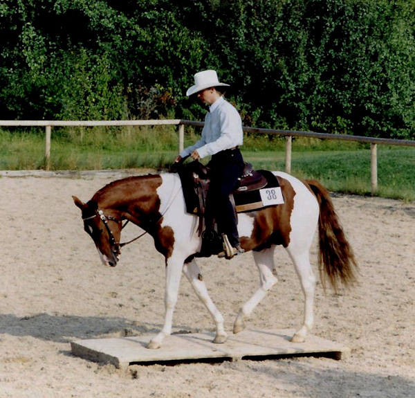 Docs J Delta Star Jr.