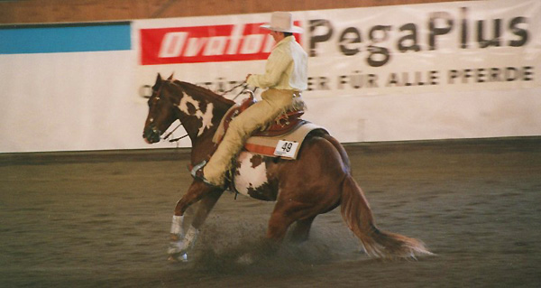 Docs J Delta Go On - 2x APHA Champion