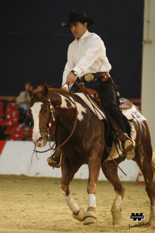 Docs J Delta Go On - 2x APHA Champion