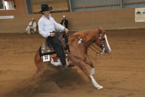 Docs J Delta Go On - 2x APHA Champion