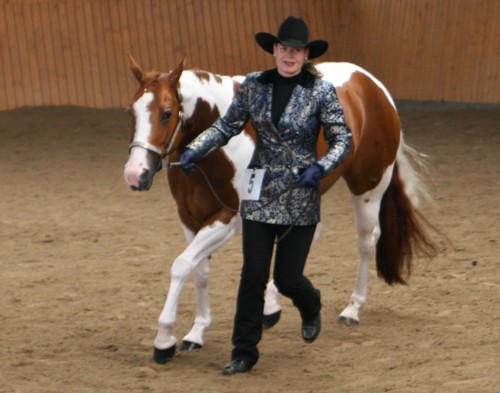 Docs J Diamond Delta - 2xAPHA Champion, Elitestute