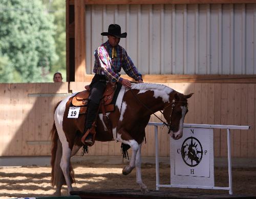 Docs J Famous Delta - APHA Champion