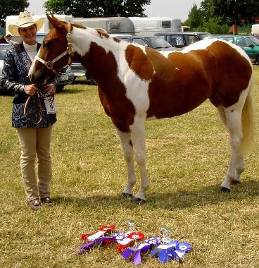 Docs J Diamond Delta - 2xAPHA Champion, Elitestute