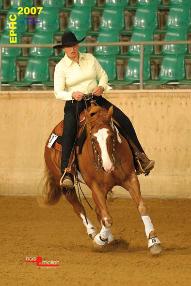 Docs J Delta Go On - 2x APHA Champion