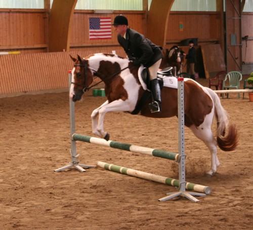 Docs J Diamond Delta - 2xAPHA Champion, Elitestute