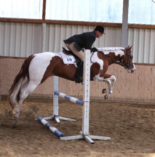 Docs J Famous Delta - APHA Champion