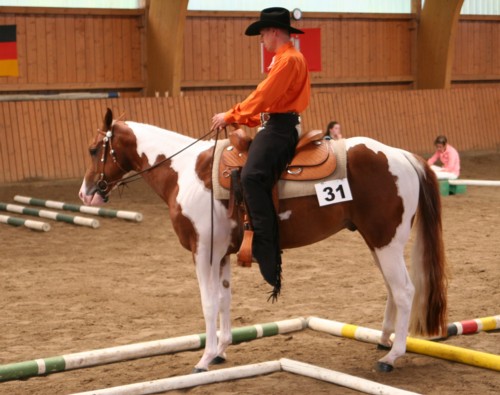 Docs J Famous Delta - APHA Champion