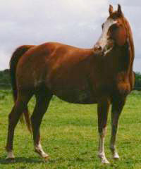 KNR April Breeze
