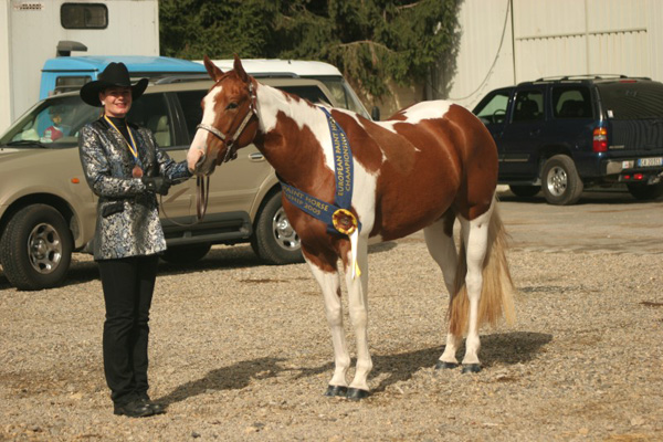 Docs J Diamond Delta - 2xAPHA Champion, Elitestute