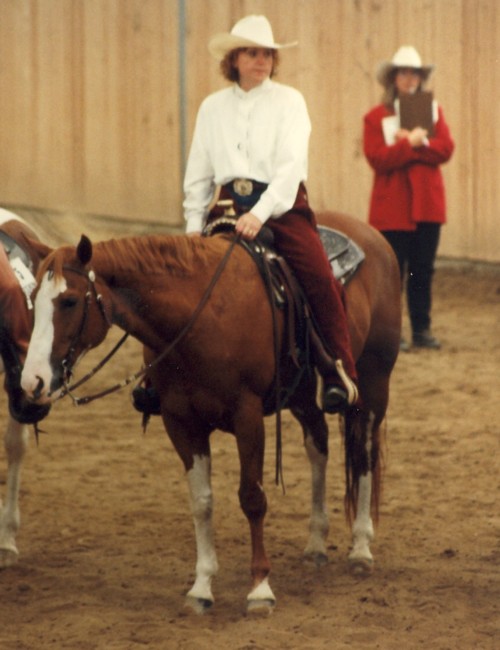 Carrousels Brand - APHA Champion / Elitestute