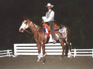 Docs J Beautybrand - APHA Champion / Elitestute