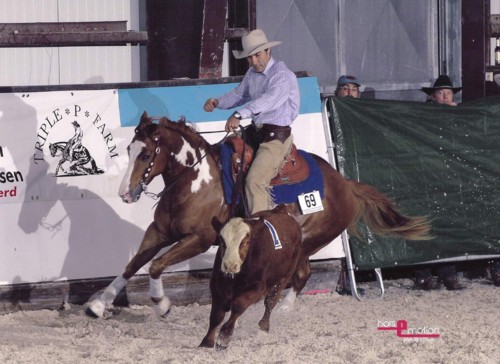 Docs J Delta Go On - 2x APHA Champion