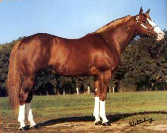 Docs J Red Sonny Dee